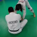 블랙벨트 GYM 이미지