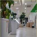 사무실청소업체 강남사무실청소 건물청소용역 청소전문업체 담다클린