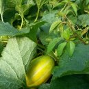 농부의 아침 이미지