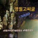 고씨굴 관광지 | 영월관광지 고씨굴 고씨동굴 영월 아이와 가볼만한 곳 동굴 여름에 갈 곳
