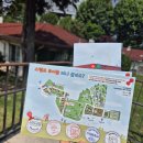[용산어린이정원]서울 한복판에서 미국의 어느 예쁜 마을을 산책하는 기분이랄까^^