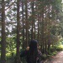 도연목장 이미지