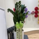 연말 아이랑 가볼만한 곳 마이리틀클래식 동탄 미디어아트 공연 후기