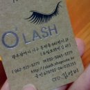 오래쉬(O’LASH) 이미지