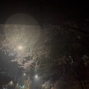 선드리즈
