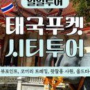 빅여행사 주식회사 이미지