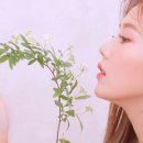 섹시한그녀 Daum카페