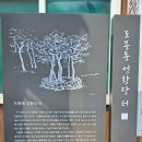 도봉-도봉-2553 이미지