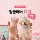 한끼멍냥 | [서포터즈 발표] 정글러버 17기 발표🎊 과연 새내기 멍냥은 누구?!