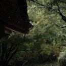 소나무언덕2호 | 경주여행 혼자 불국사 대웅전 다보탑 석가탑 뚜벅이여행 정보