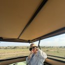 [아프리카 탄자니아 여행후기 #4] Narudi Tented camp 나루디텐티드캠프 / 세렝게티 게임드라이브 3일차(1)