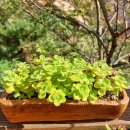 강빛마을 이미지