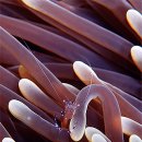 바다생각 이미지