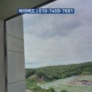 버드바이버드 - 전주시 완산구 홍산1길 7 | 화성 동탄 베란다 비둘기배설물청소와 퇴치방법 후기 비둘기퇴치업체 바이버드