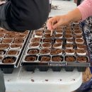 8월 5일 (토) 배추모종만들기, 배추밭 만들기 - 박지원 이미지