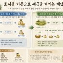 세금 하나 바꾸는 데 100년이 걸렸다, 조선판 세금개혁 대동법