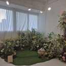 퍼피스프링 부천점 | 부천 렌탈스튜디오 추천｜로델로스튜디오 신중동점 솔직 후기 (크리스마스 촬영)