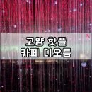 디예따 | 고양 카페 핫플 디오름카페 서오릉 신상 주차 메뉴 전시까지