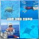 건남철물(낚시) | 사이판 거북이 호핑투어 오션스타 한인 선상낚시 스노클링 투어 후기