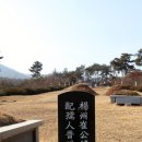 우림장 | [화성] 오위도총부 부총관 최극태 묘(崔克泰墓)