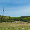 에덴밸리게임타운 이미지