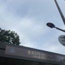 (주)청국 | 먹방투어! 광장시장 데이트 후기!