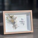 용인영락작은도서관 | 캘리그라피 수업이 남긴 것들 [용인영락교회 작은도서관]