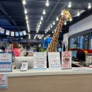 환상의 추억 | 부산 대형키즈카페 앨리스파파 내돈내산 후기 마술쇼 무료 공연