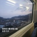 댄싱컵연지래미안점 | 부산 혼자여행 맛집투어(2박3일, 내돈내산)