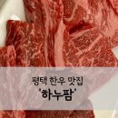 하누팜 이미지