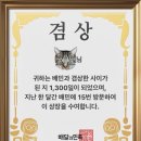 빼빼로는 동그랗고 포키는 네모나다.