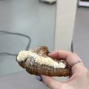 ☃여수 라테라스 윈터빌리지 후기⛄ (순천 맛집 발견)