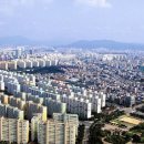 대전 2663 대전일보