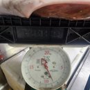 5월 21일 판매생선입니다. 이미지