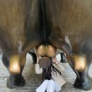 (주)아미랜드 | [Lily의 미국 인턴 여행기록] 엄마랑 떠나는 뉴욕여행(2)