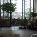 화려한휴식 이미지