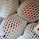 주하농장 이미지