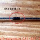 에버그린 이미지