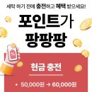 워시팡팡빨래방카페
