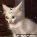 022-3 | 406. 셜록홈즈 수원점 < 022 > 수원 방탈출 후기