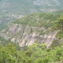 의성 금성면 비봉산 산행(2008.6.1) 이미지