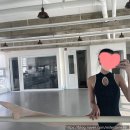 엘리스(ELISE) | 추천 유미코 레오타드 벨벳 조합, 착샷, 사이즈, 엘리제(elise), 다리아, 드니스, 엘리시아(alicia) 후기