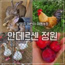 안데르센 어린이집 | 남양주 체험학습 아이랑 안데르센 정원 동물 먹이체험!