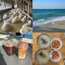 공일토스트 | &lt;강원도여행코스&gt;파워 P의 대관령부터 강릉까지, 강원도 1박 2일 일정 추천 !