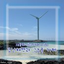그초록 제주 숨은 스노쿨링 명소 코난해변과 근처 카페 추천, <b>그</b><b>초록</b>