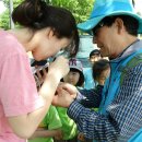 운천초병설유치원 이미지