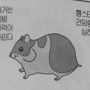 이어진 이미지