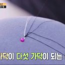 BJ헤어 이미지