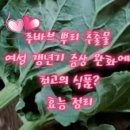 경문서적 이미지
