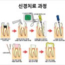 서울베스트치과의원 이미지